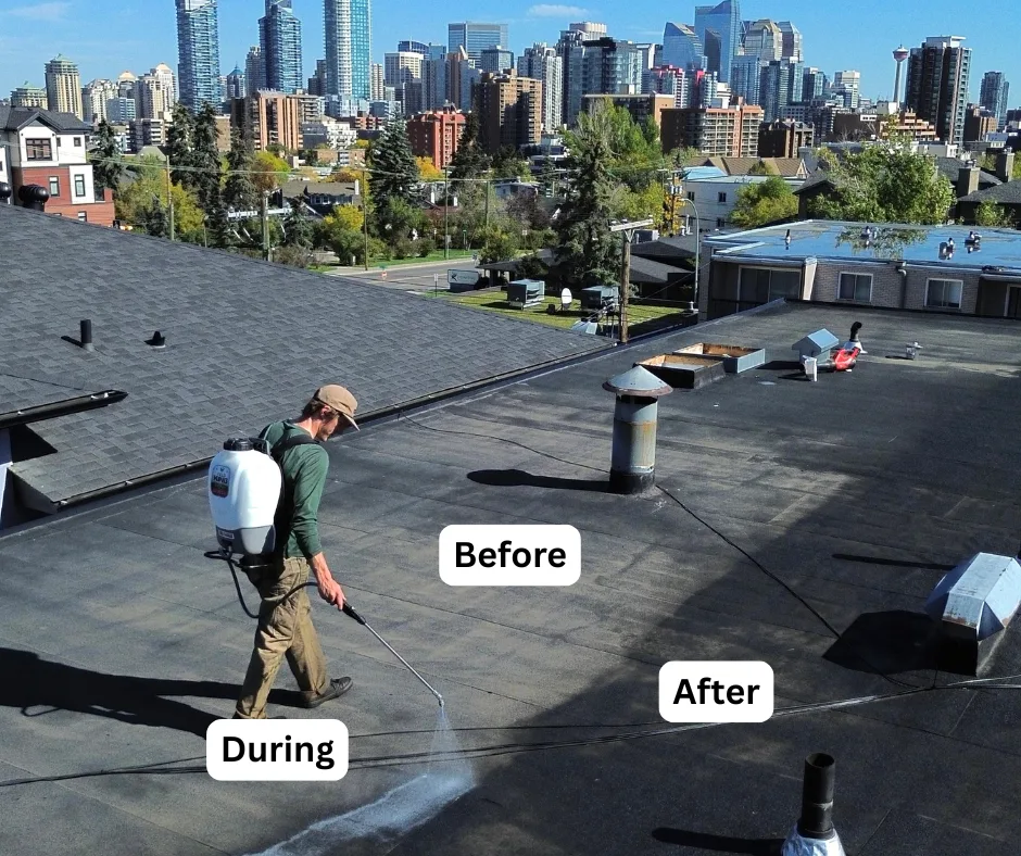 Worker applying treatment on a roof with before, during and after areas