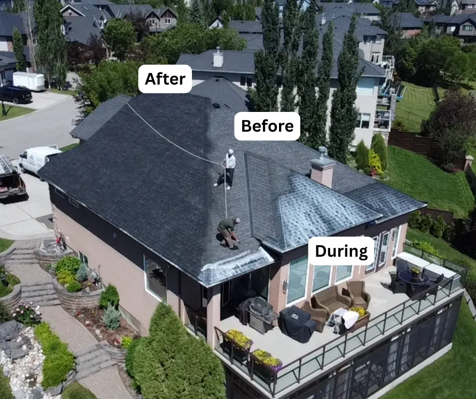 Two technicians applying a roof treatment to a large asphalt shingle roof