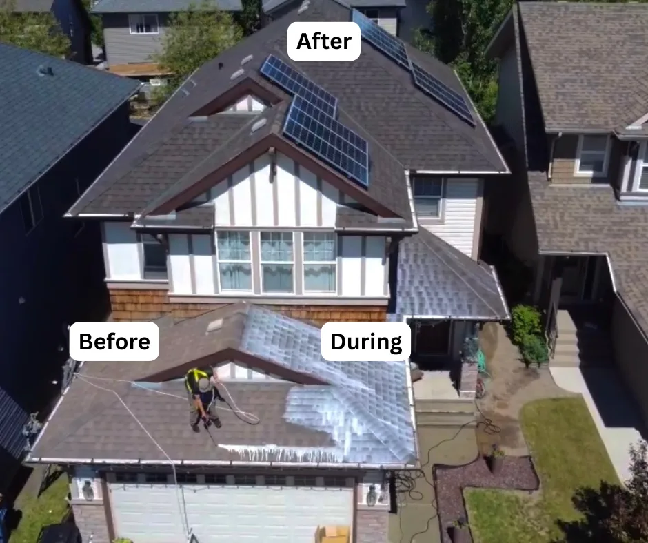 Aerial view of a roof with solar panels with treatment areas labeled